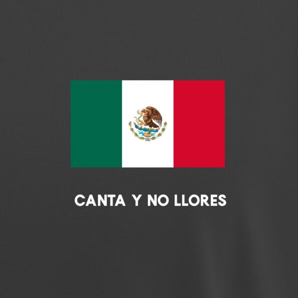 mexico_mundial_shirts-mexico-c